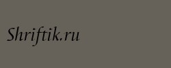 BarbedorT Italic 